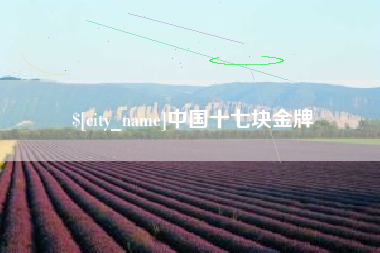 通辽中国十七块金牌