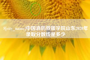 通辽中国消防救援学院山东2020年录取分数线是多少