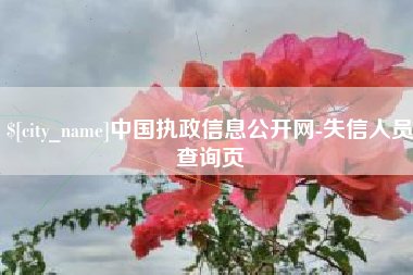 通辽中国执政信息公开网-失信人员查询页