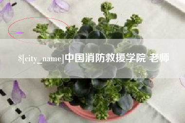 通辽中国消防救援学院 老师