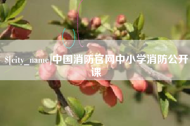 通辽中国消防官网中小学消防公开课