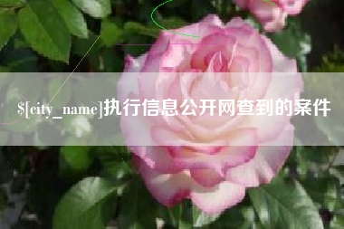 通辽执行信息公开网查到的案件