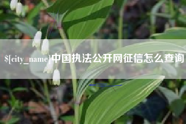通辽中国执法公开网征信怎么查询