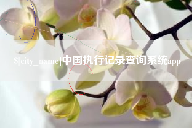 通辽中国执行记录查询系统app