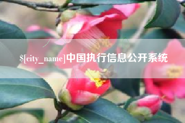 通辽中国执行信息公开系统