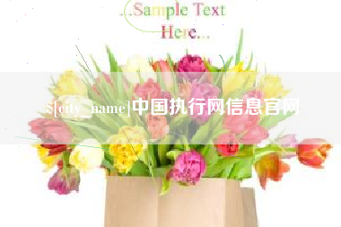 通辽中国执行网信息官网