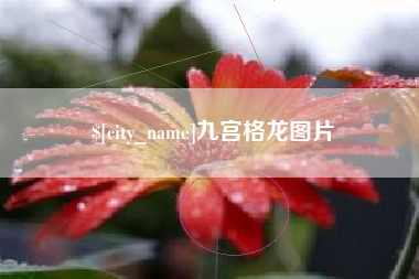 通辽九宫格龙图片