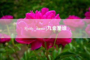 通辽九金是谁