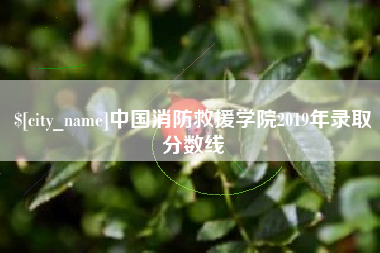 通辽中国消防救援学院2019年录取分数线
