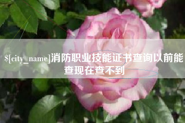通辽消防职业技能证书查询以前能查现在查不到