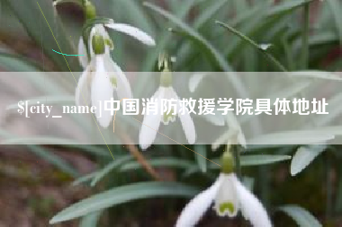 通辽中国消防救援学院具体地址
