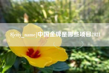 通辽中国金牌是哪些项目2021