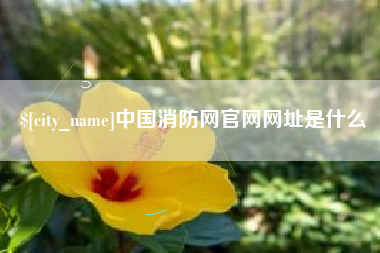 通辽中国消防网官网网址是什么