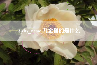 通辽九金指的是什么
