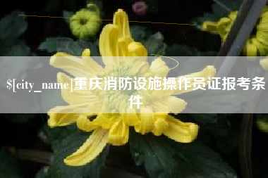 通辽重庆消防设施操作员证报考条件