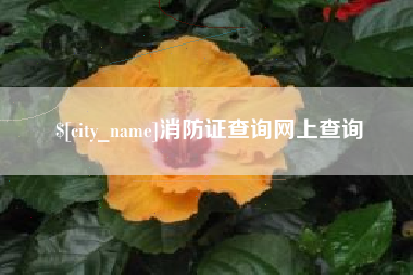 通辽消防证查询网上查询