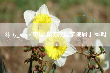 通辽中国消防救援学院属于985吗