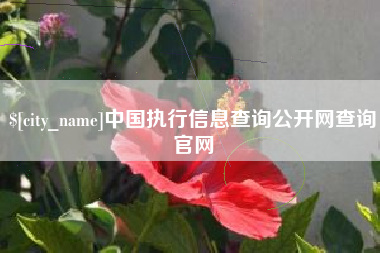 通辽中国执行信息查询公开网查询官网