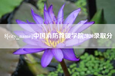 通辽中国消防救援学院2020录取分