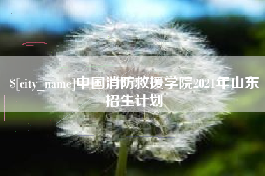 通辽中国消防救援学院2021年山东招生计划