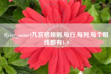 通辽九宫格规则,每行,每列,每个粗线都有1-9
