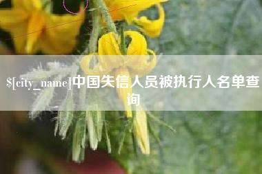 通辽中国失信人员被执行人名单查询