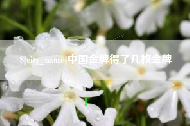 通辽中国金牌得了几枚金牌