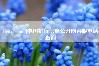 通辽中国执行信息公开网客服电话查询