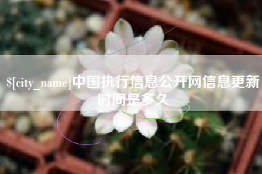 通辽中国执行信息公开网信息更新时间是多久