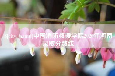 通辽中国消防救援学院2020年河南录取分数线