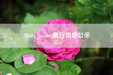 通辽执行信息公示