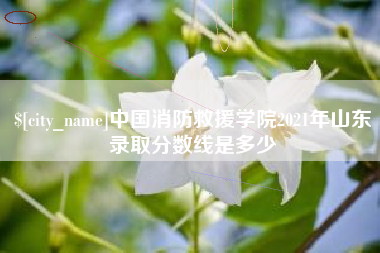 通辽中国消防救援学院2021年山东录取分数线是多少