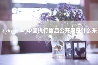 通辽中国执行信息公开网是什么东西