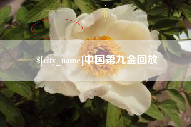 通辽中国第九金回放