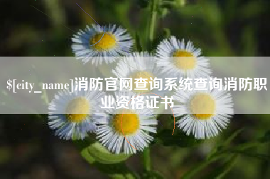 通辽消防官网查询系统查询消防职业资格证书