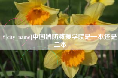 通辽中国消防救援学院是一本还是二本