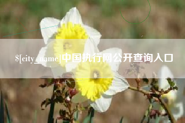 通辽中国执行网公开查询入口