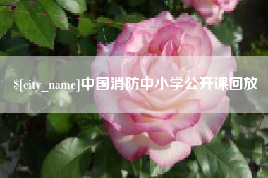 通辽中国消防中小学公开课回放