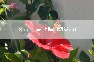 通辽上海消防员2021