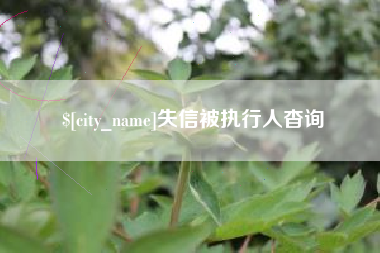 通辽失信被执行人杳询