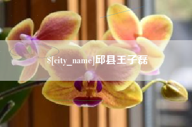 通辽邱县王子磊