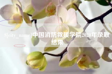 通辽中国消防救援学院2020年录取结果