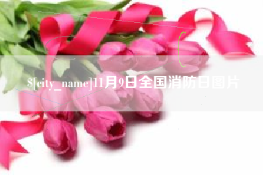 通辽11月9日全国消防日图片