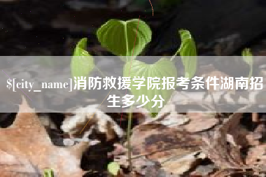 通辽消防救援学院报考条件湖南招生多少分