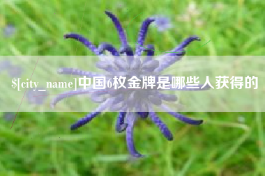 通辽中国6枚金牌是哪些人获得的