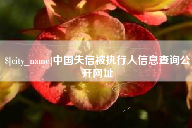 通辽中国失信被执行人信息查询公开网址