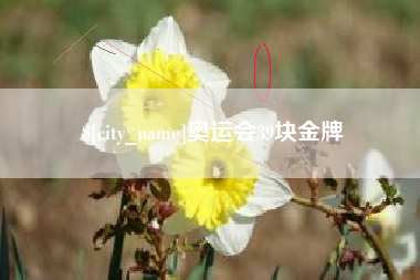通辽奥运会39块金牌