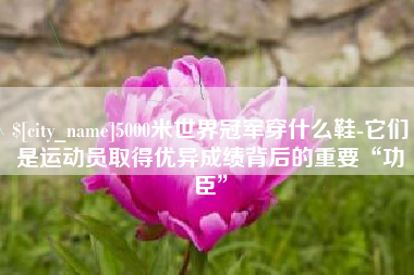 通辽5000米世界冠军穿什么鞋-它们是运动员取得优异成绩背后的重要“功臣”