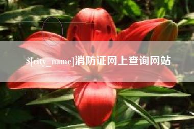 通辽消防证网上查询网站
