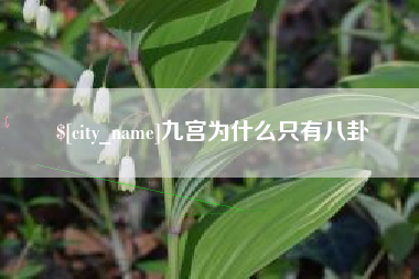 通辽九宫为什么只有八卦